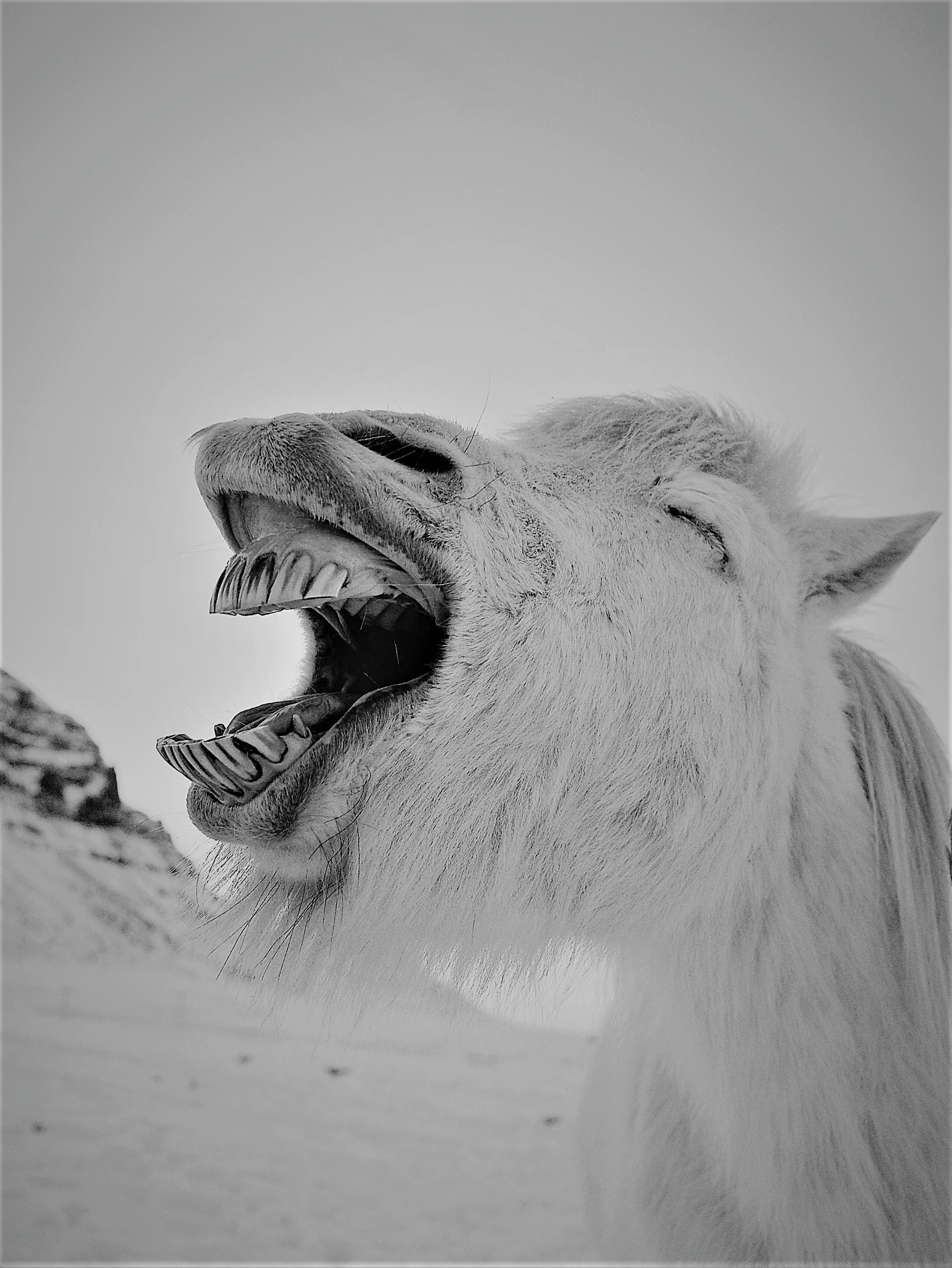 dan-cook-508166-unsplash