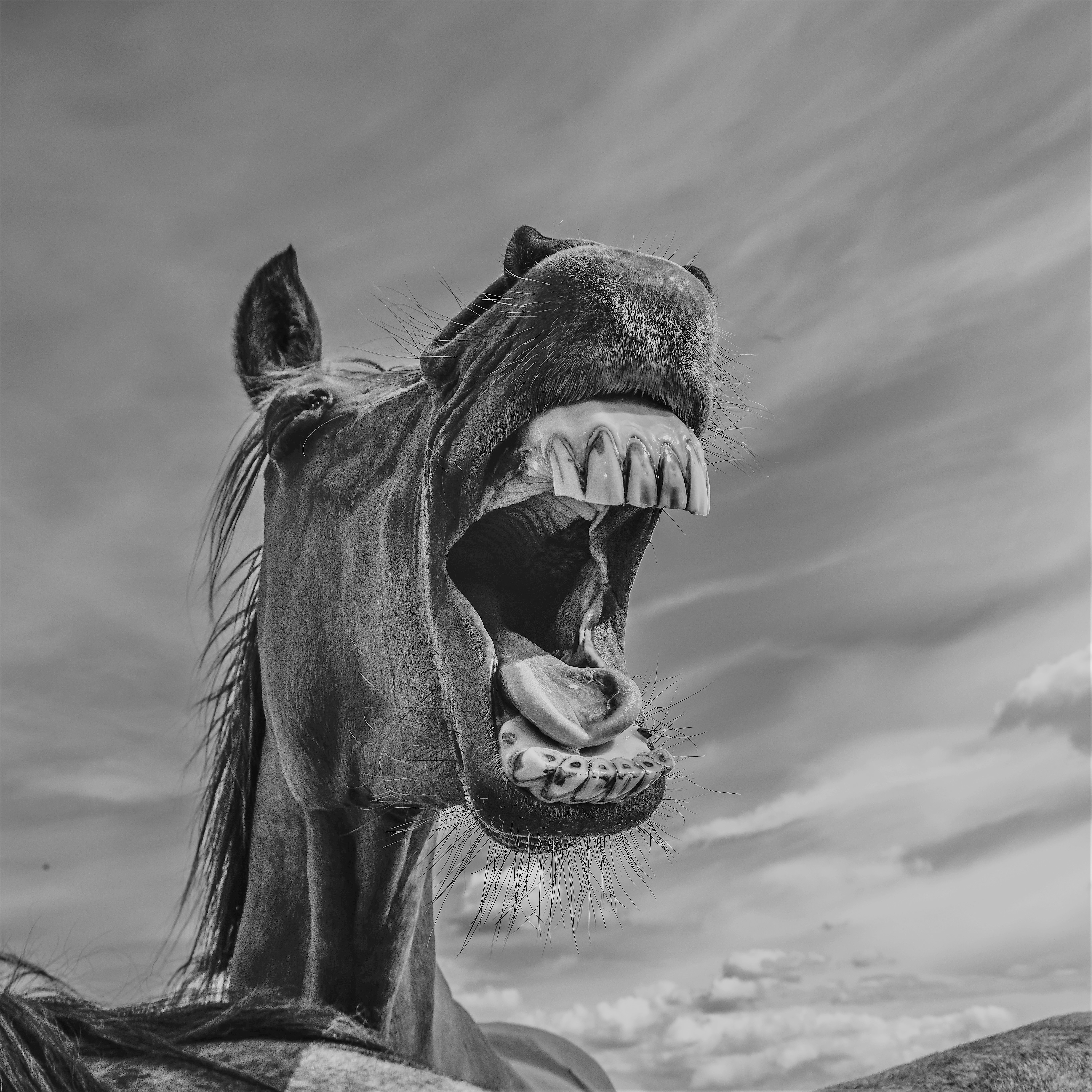 mikael-kristenson-27943-unsplash